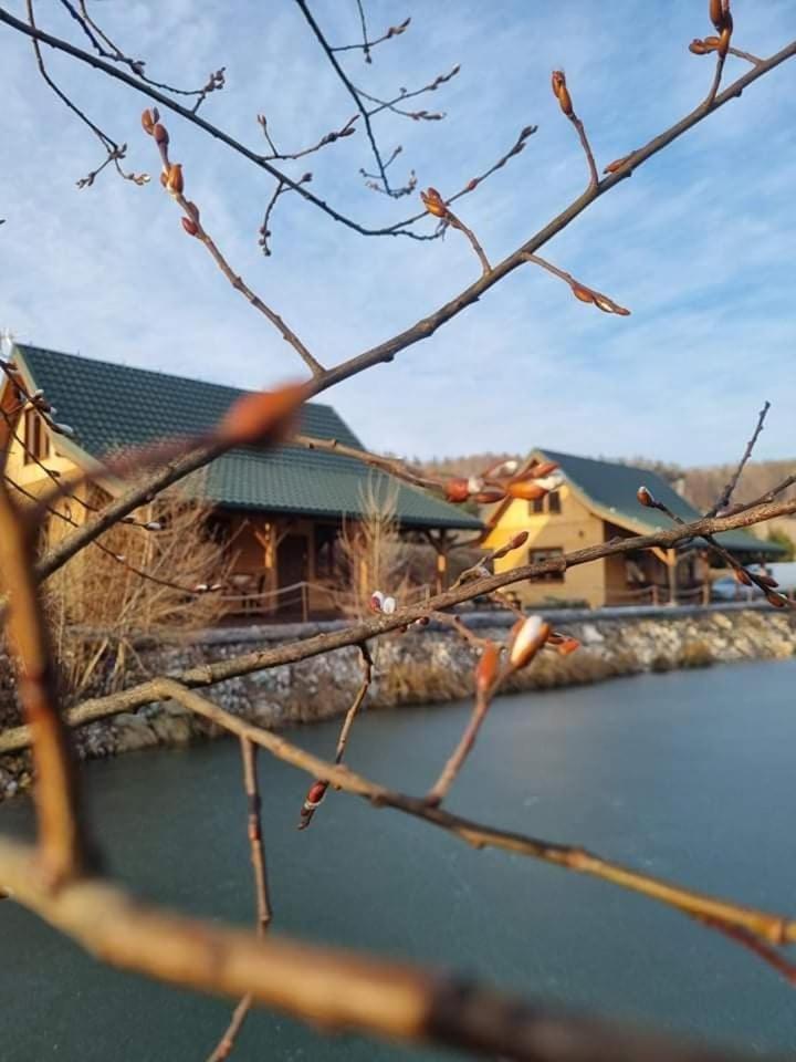Domki Gorska Zatoka Stronie Śląskie Dış mekan fotoğraf